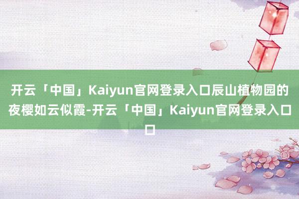 开云「中国」Kaiyun官网登录入口辰山植物园的夜樱如云似霞-开云「中国」Kaiyun官网登录入口