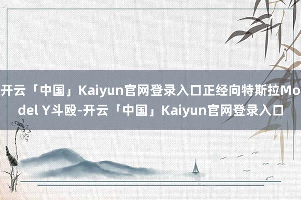 开云「中国」Kaiyun官网登录入口正经向特斯拉Model Y斗殴-开云「中国」Kaiyun官网登录入口