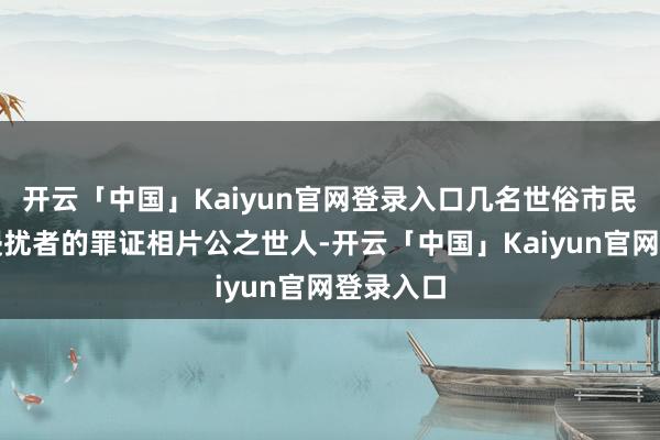 开云「中国」Kaiyun官网登录入口几名世俗市民为了将侵扰者的罪证相片公之世人-开云「中国」Kaiyun官网登录入口