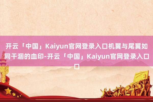 开云「中国」Kaiyun官网登录入口机翼与尾翼如同干涸的血印-开云「中国」Kaiyun官网登录入口