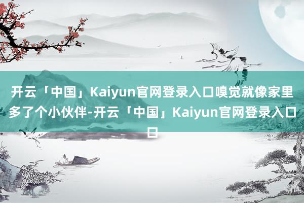 开云「中国」Kaiyun官网登录入口嗅觉就像家里多了个小伙伴-开云「中国」Kaiyun官网登录入口