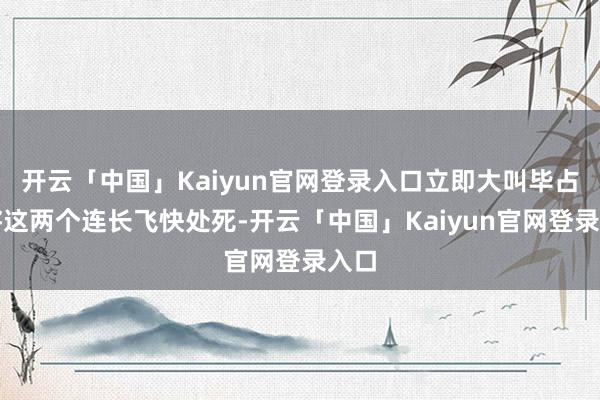 开云「中国」Kaiyun官网登录入口立即大叫毕占云将这两个连长飞快处死-开云「中国」Kaiyun官网登录入口