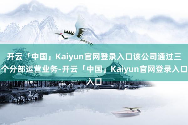 开云「中国」Kaiyun官网登录入口该公司通过三个分部运营业务-开云「中国」Kaiyun官网登录入口